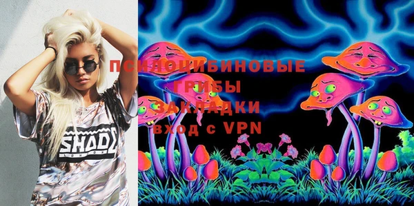 хмурый Богородицк