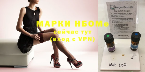 хмурый Богородицк