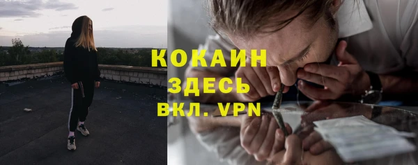хмурый Богородицк