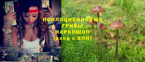 apvp Богданович