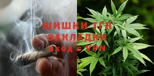 apvp Богданович