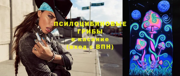 спиды Богородск