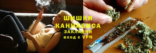 apvp Богданович