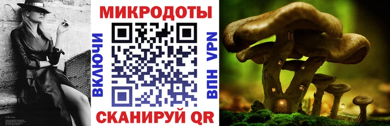 Псилоцибиновые грибы Psilocybine cubensis  наркотики  Кодинск 