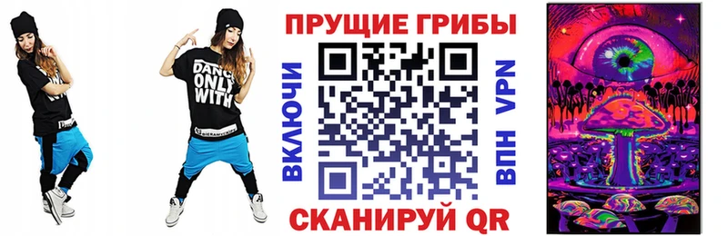 Галлюциногенные грибы Psilocybe Кодинск